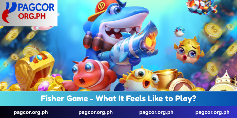 Fisher Game - What It Feels Like to Play?