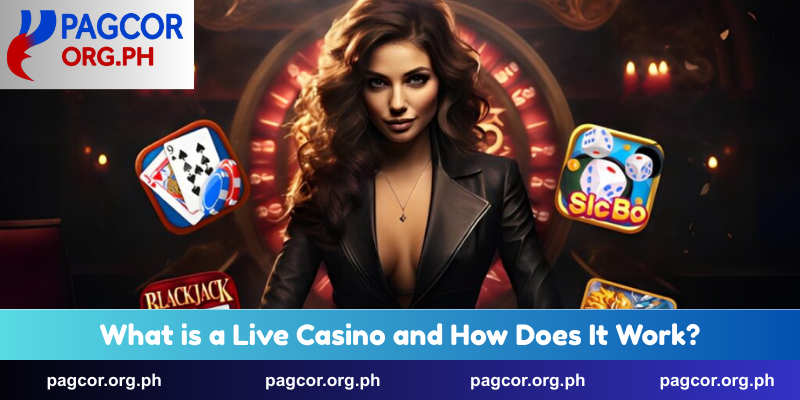 What is a Live Casino and How Does It Work?
