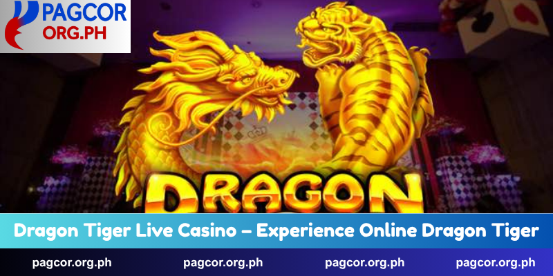 Dragon Tiger Live Casino – Experience Online Dragon Tiger