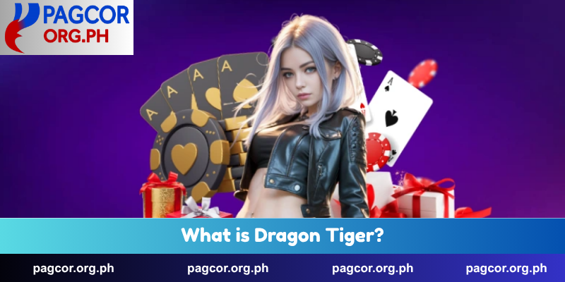 What is Dragon Tiger?
