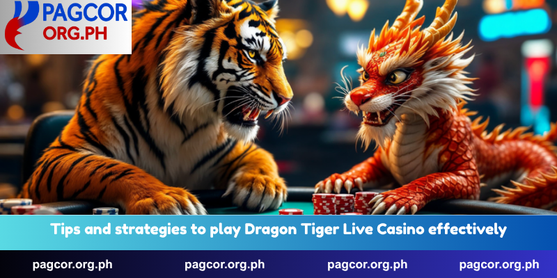 Tips and strategies to play Dragon Tiger Live Casino effectively