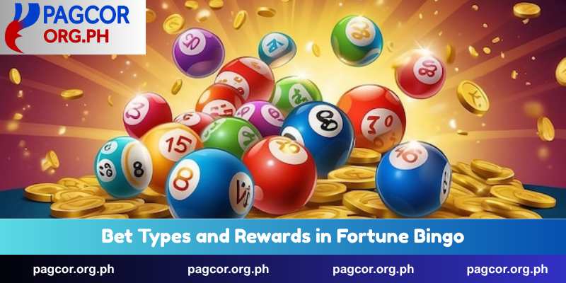 Bet Types and Rewards in Fortune Bingo