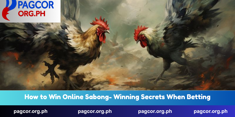How to Win Online Sabong- Winning Secrets When Betting