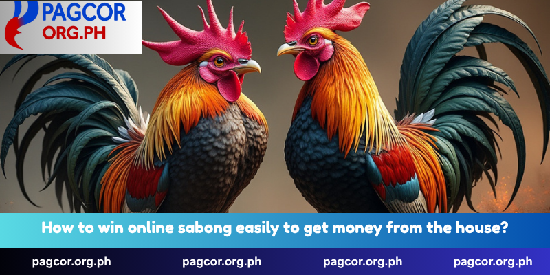 How to win online sabong easily to get money from the house?