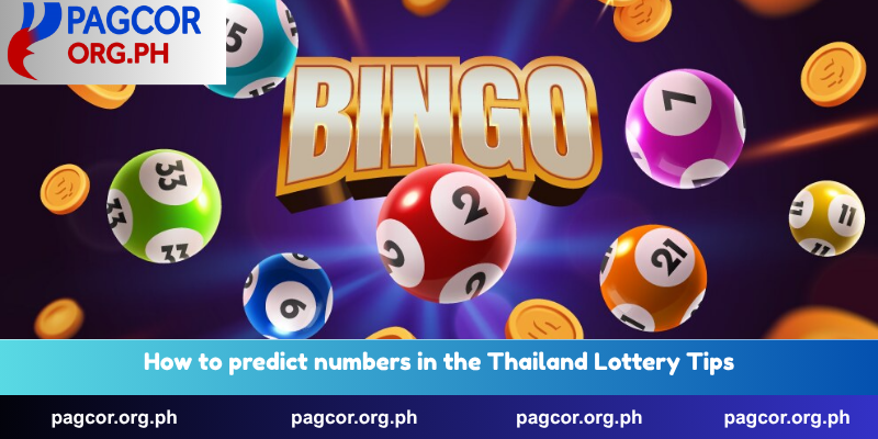 How to predict numbers in the Thailand Lottery Tips