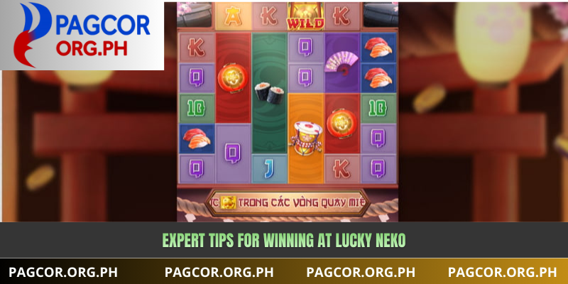 Expert Tips for Winning at Lucky Neko